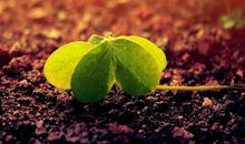 把青春的绿色铺满征程