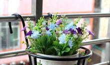 窗台上的那盆花