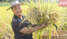 我收获了丰收的快乐