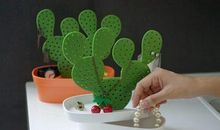 我发现了仙人掌的奥秘