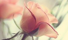 那一刻触动了我的心灵