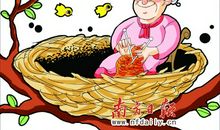 藏在善意谎言里的友谊