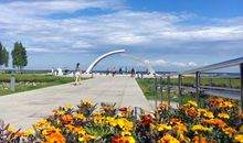 多彩的生命之路