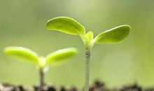 挫折，引领我成长