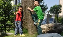 一次难忘的端午节