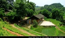 乡下的“绿色”