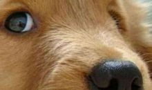 让我受委屈的一件事