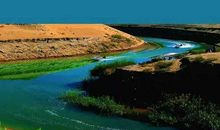 我家住在黄河边