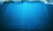 为了蓝色的海洋