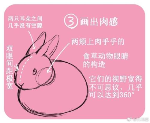 有趣的新事物