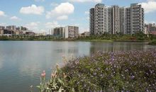 美丽迷人的花都湖