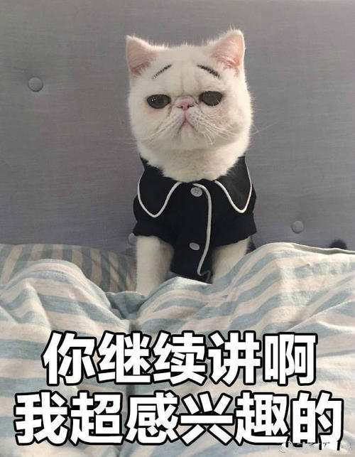 我对这个季节感兴趣