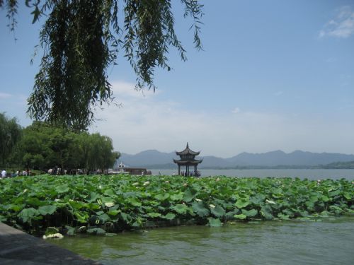 风景总是在那里