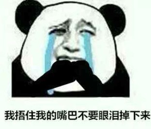 电脑，我的朋友