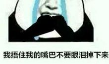 电脑，我的朋友