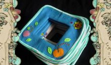 第一次同处一室