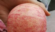 妈妈，我想送给一个苹果