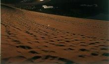 不言不语的离开