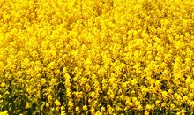 积极地坐在人生的前排