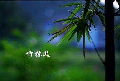我是青竹