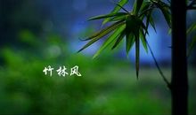 我是一棵翠竹