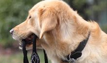 那一刻我感受到幸福