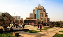 奇妙的校园风光