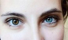 那一双关注的眼睛