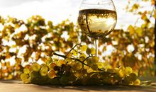 细品人生路上的酸甜苦辣