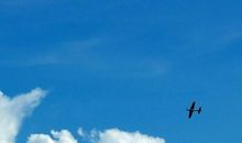 不畏艰险翱翔于天