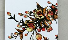 尖叫的海棠读后感