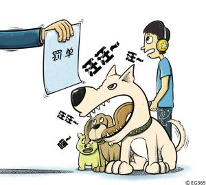 养狗的启示