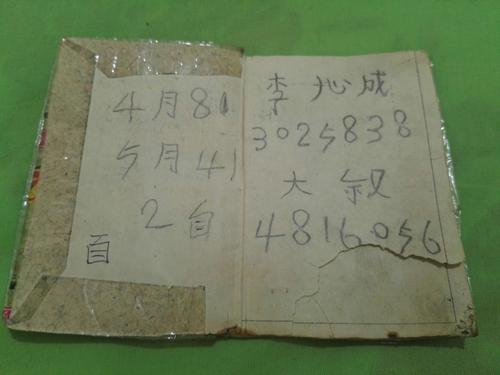 母亲的记事本
