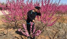 春天里，我们不出门