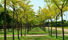 公交车上的秋天