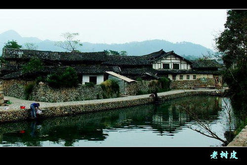 南溪河印象