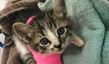 尝试的感觉真好