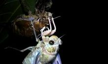 现在蜕变还来得及