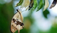 藏在什么里的精彩