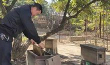 手拉手向着阳光走去