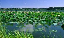 我的家乡——松滋小南海