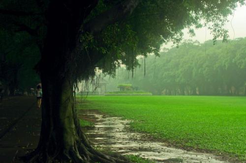 夏天看雨