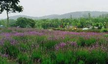 春游·记牛头山