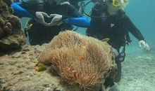 海洋馆的小意外