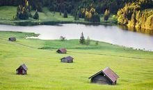 草坪上的真善美