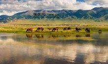 美丽的巴里坤盘山道
