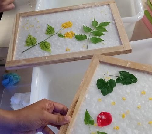 制作再生纸