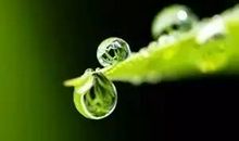 一则新闻的启示