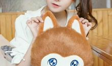 夹娃娃我想对你说