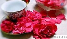 理想是诗意的花